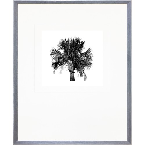 CL- PALMETTO 1